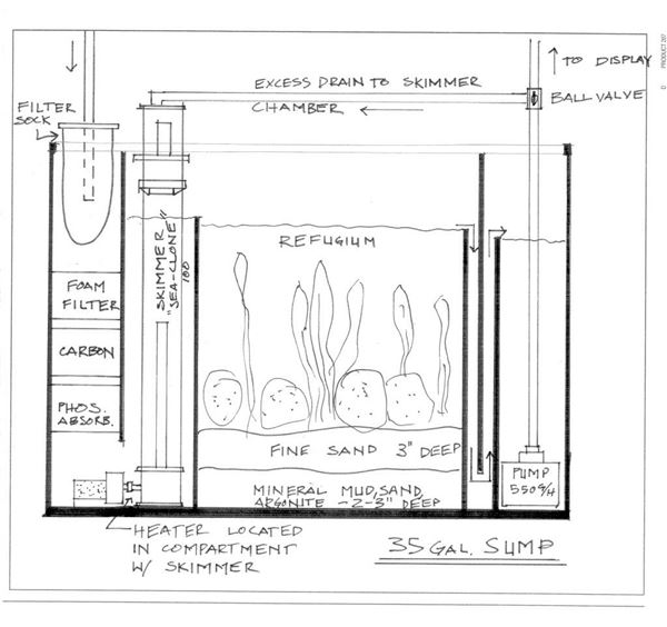 Freshwater Aquarium Sump Diagram