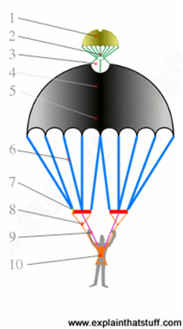 Parts Of A Parachute And How They Work At Whitney Sophia Blog