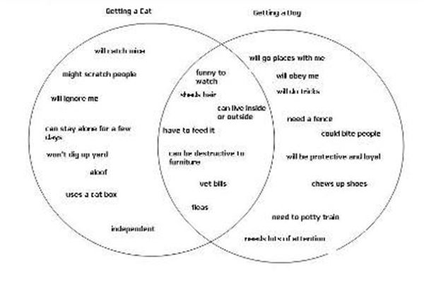 Triple Venn Diagram Compare And Contrast